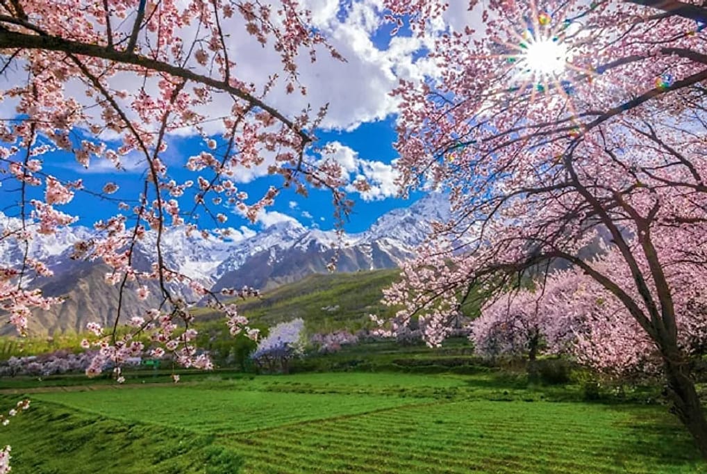 Skardu Blossom Tour — Tour in Pakistan